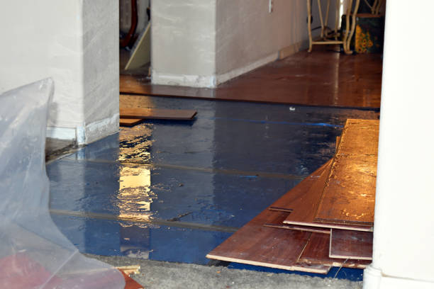 Professional Water Damage Restoration technician working in Collegeport, TX
